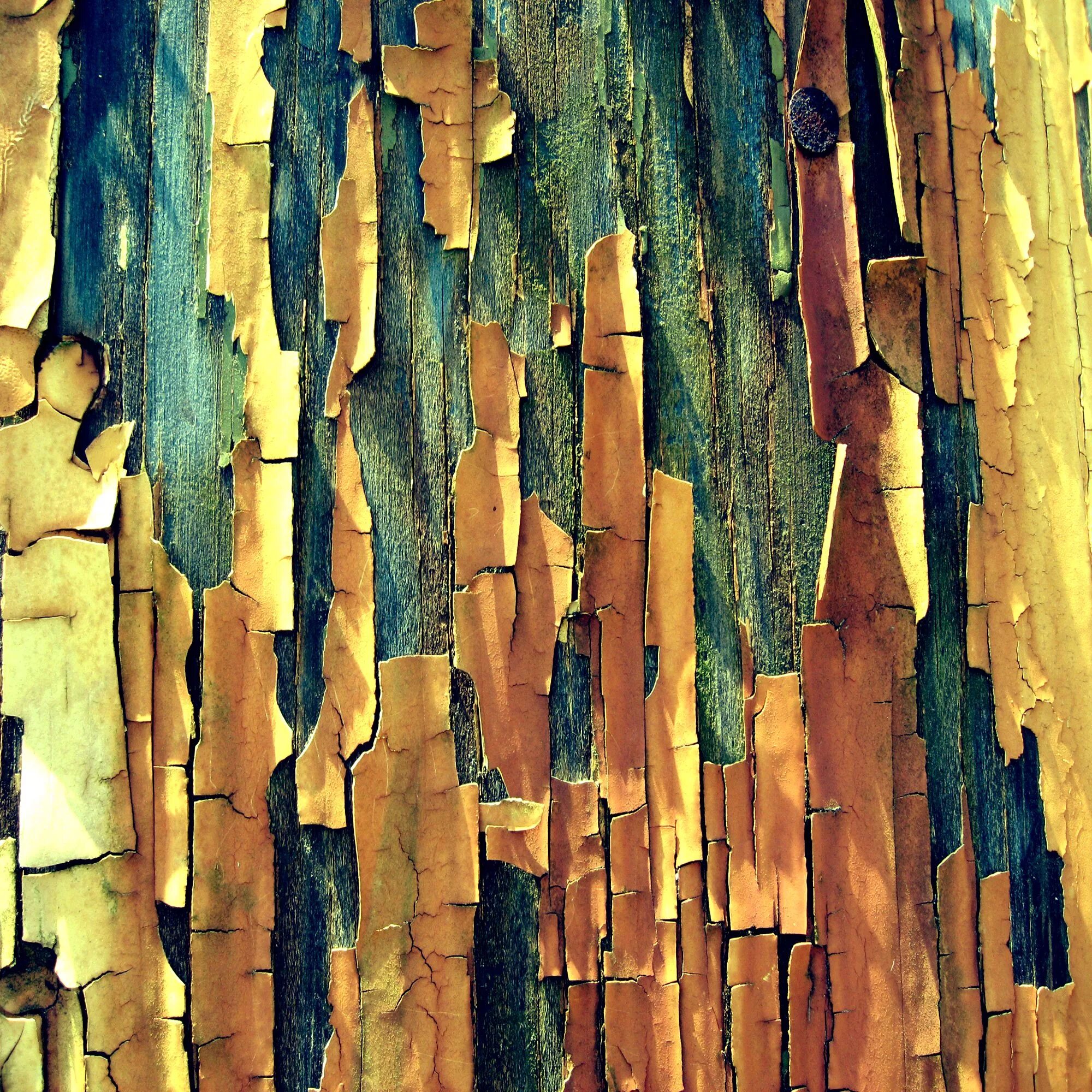 Wooden patterns. Фактурное дерево. Фактура природы. Необычная фактура.