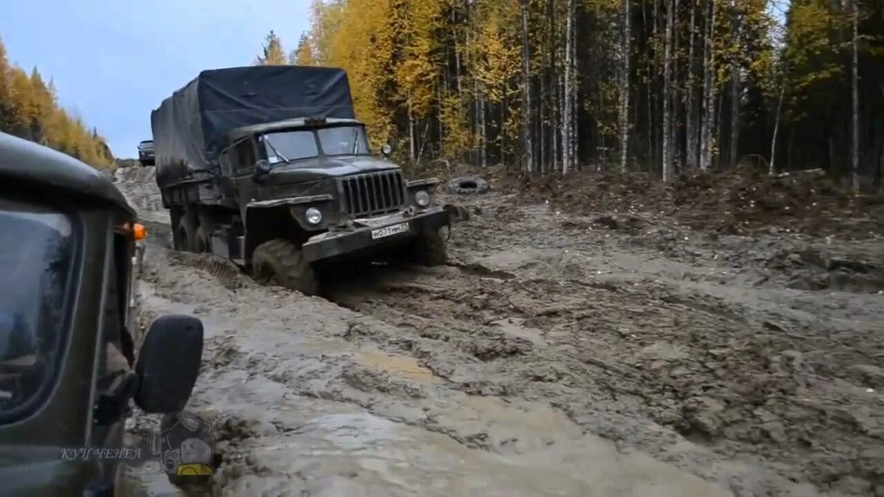 Урал урал 4320. Урал-4320 грузовой армейский. Военный грузовик урал 43206. Урал 4320-31. Урал 44202-0311-31.