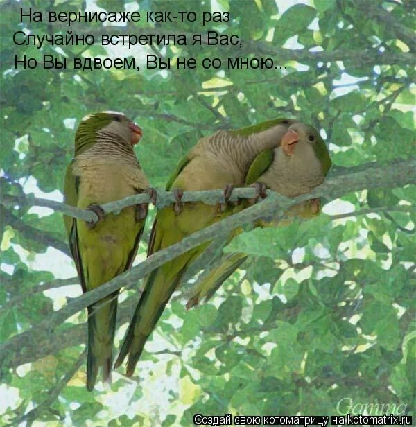 Вернисаж лайма вайкуле. Лайма вайкуле и валерий леонтьев. На вернисаже как то раз случайно встретила. Выставки без кода. На вернисаже как тарас.