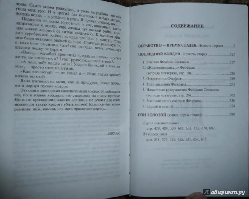 Содержание колдун. Личутин повести последний колдун. колдун сколько страниц. сон золотой личутин.