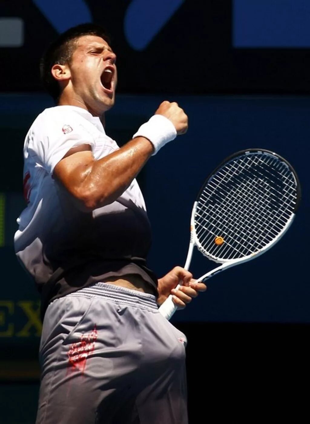 Novak Djokovic bulge. Новак Джокович булге. Теннис членами. Super dick