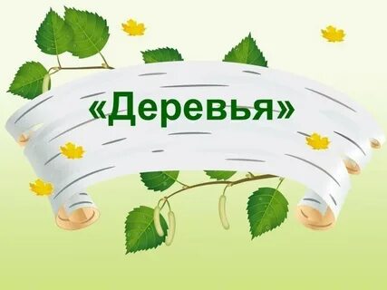 Картинки надпись деревья