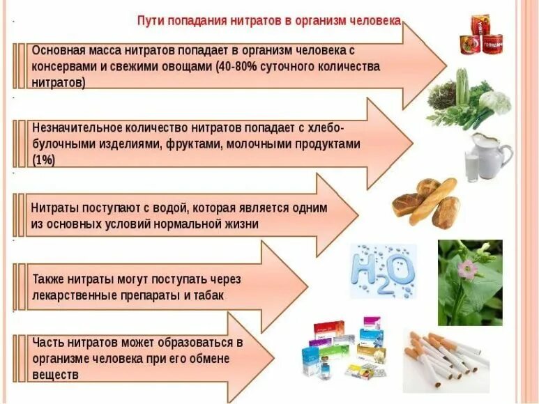 Нитраты презентация. Влияние нитратов на здоровье человека. Нитраты в продуктах питания. Образование нитратов и нитритов. Влияние нитратов на окружающую среду и организм человека.