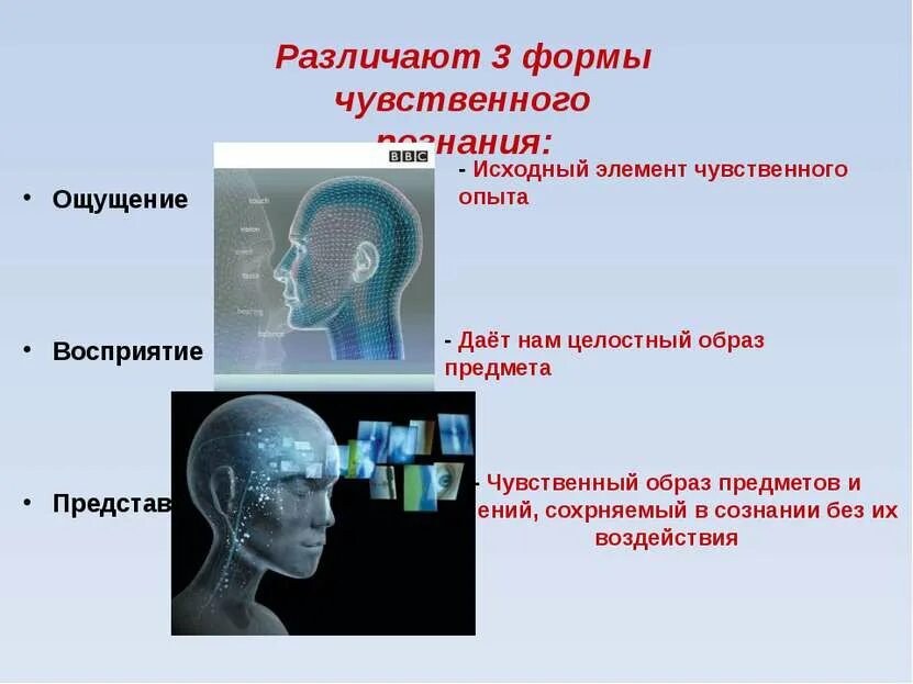 Чувственный эксперимент