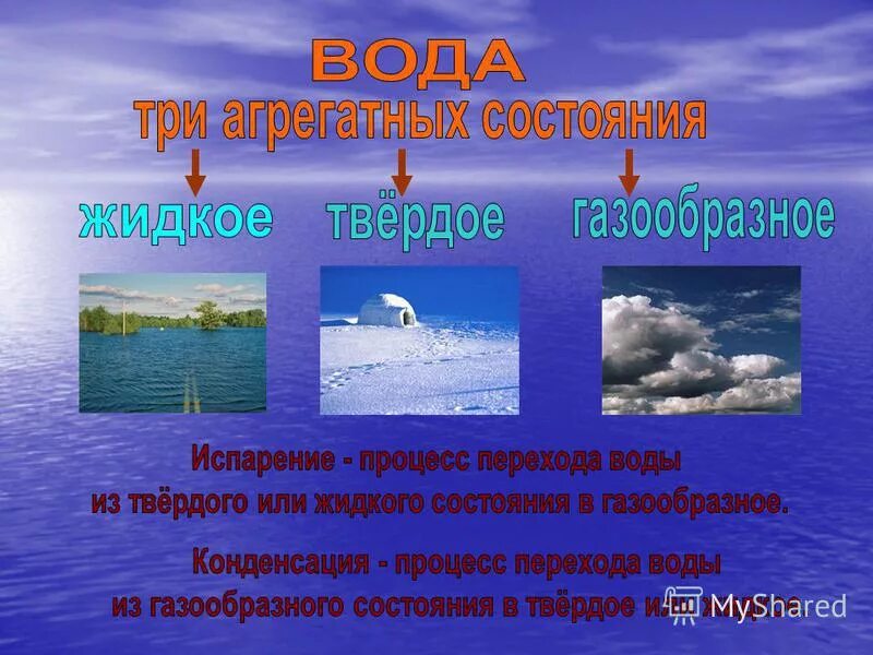 как вода. параметры дистиллированной воды. строение гидросферы. физические свойства твёрдого агрегатного состояния. определить свойства воды.