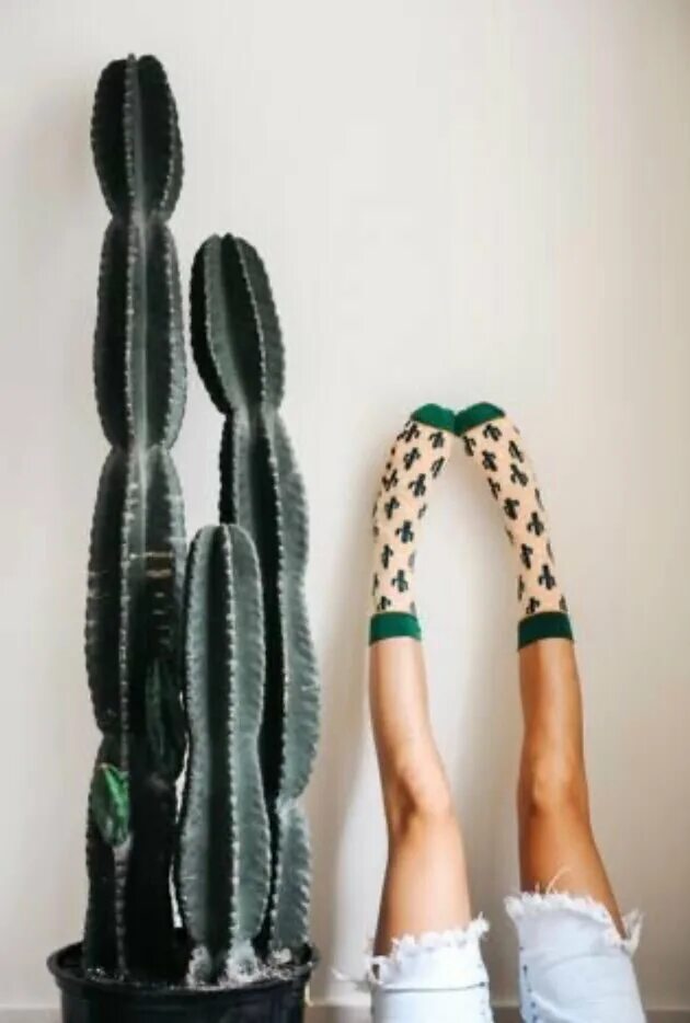 девушка с кактусом. картина кактус минимализм. девушка с кактусом. депиляция тела для женщин. кактус бреется.