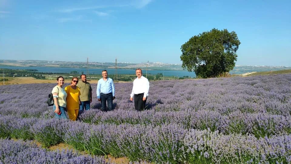 братск синоптик погода. цветные поля. поляна цветов. братский сельский совет красноперекопского района республики крым. челябинск весной.