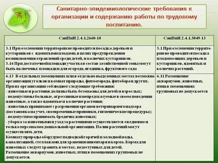 Требования санпин дошкольного образования
