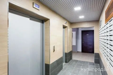 Московская 217