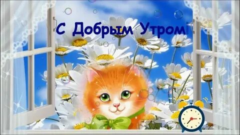 Тик ток добрые весенние пожелания