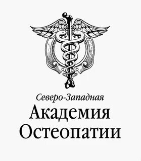 Северо западная академия образования