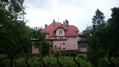 Лев бородинский житомирская ул 10 фото