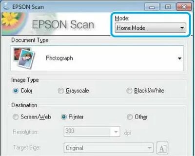 Epson scan windows