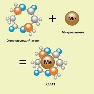Хелатный комплекс