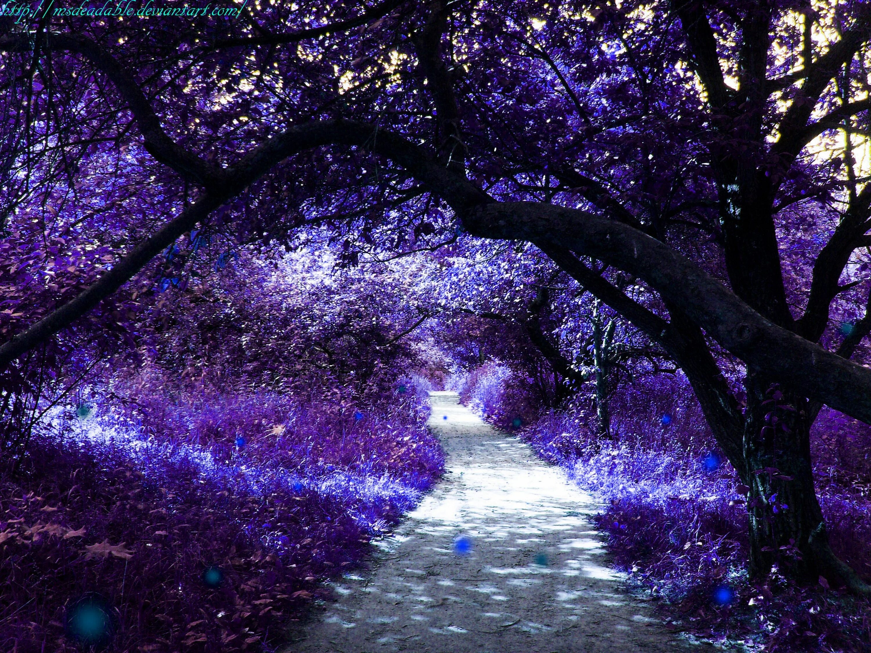 Purple ground