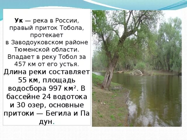 Река УК Заводоуковский район. Сообщение о реке тура. Притоки реки Тобол. Рассказ о реке Тобол. Какая река в кургане курган протекает