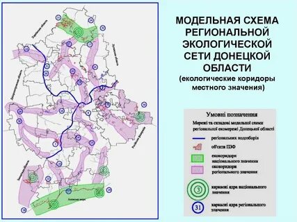 Экологическая сеть область