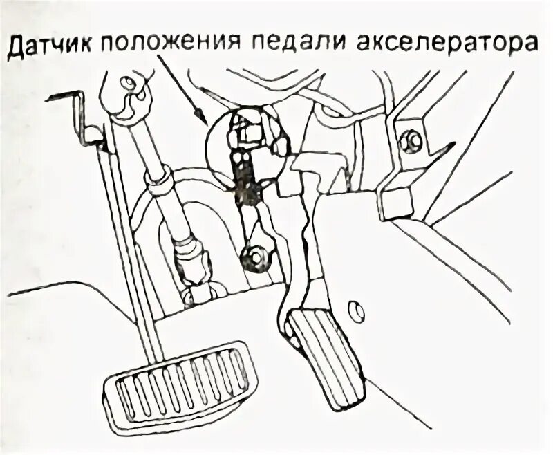 Где находится датчик положения педали акселератора Датчики системы впрыска (впрыск Bosch) Mazda