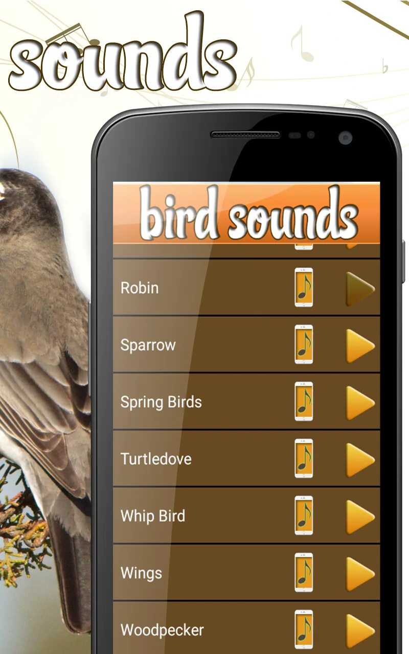 Звук птиц на звонок. Звук на смс птицы. Включить звуки птичек. Лайфхаки звук птиц.