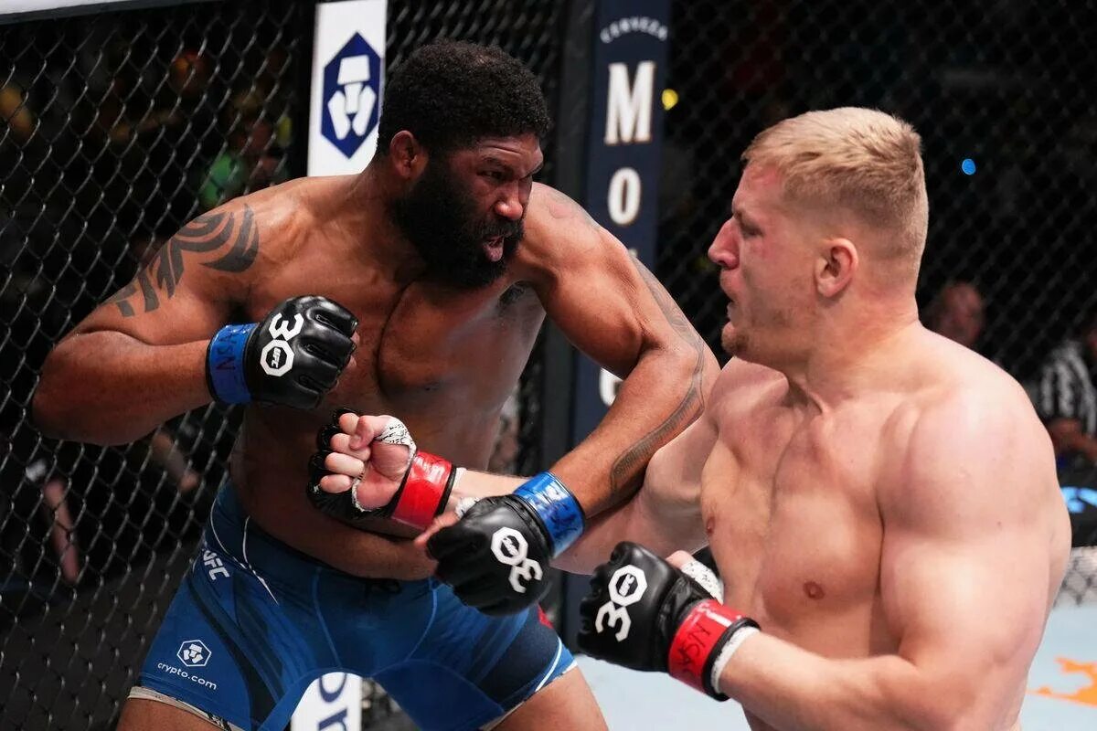 Ufc 295 дата и время боя. Ufc 295 дата и время боя