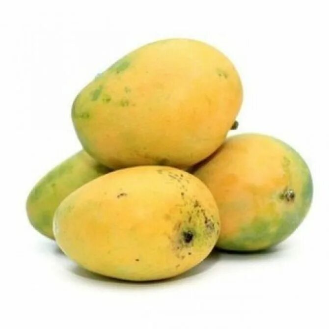 Манго дон. Манго sindhri. himsagar mango. сорт кесар. манго. манго сорт альфонсо.