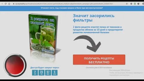 Как почистить почки и печень