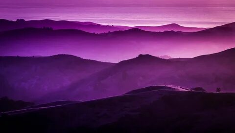 Purple highway