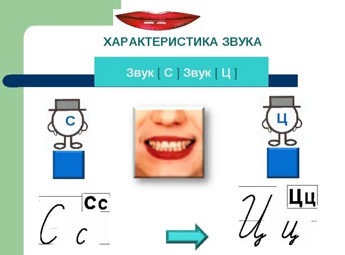 Характеристика звука ц. Различение звуков с-ц. Сравнение звуков с ц. Различаем звуки с и ц. Дифференциация ц ч конспект