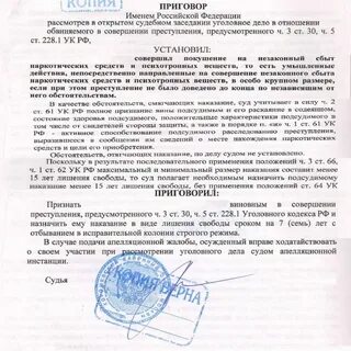 228.1 ук судебная практика