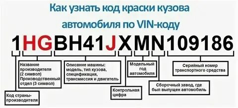 Как узнать краску по вин