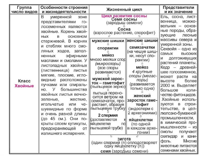 Царство растений строение и жизнедеятельность. Сравнительная таблица отделов растений. особенности строения отделов растений. сравнительная характеристика отделов растений таблица 9 класс. характеристика отделов царства растений таблица.