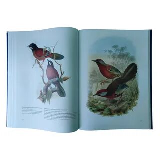 Книга роща