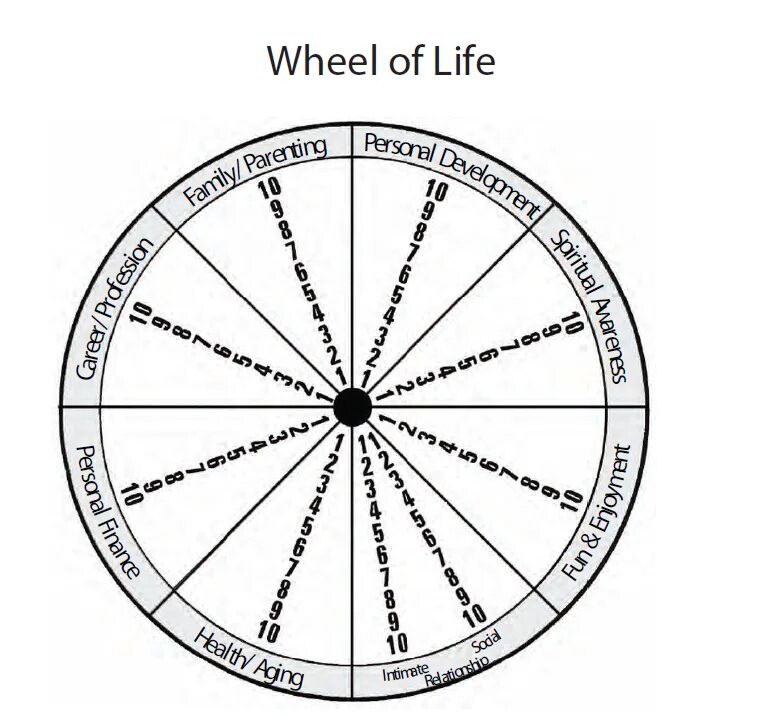 Круг колесо времени. Wheel of Life. Колесо года. Колесо года деревянное.