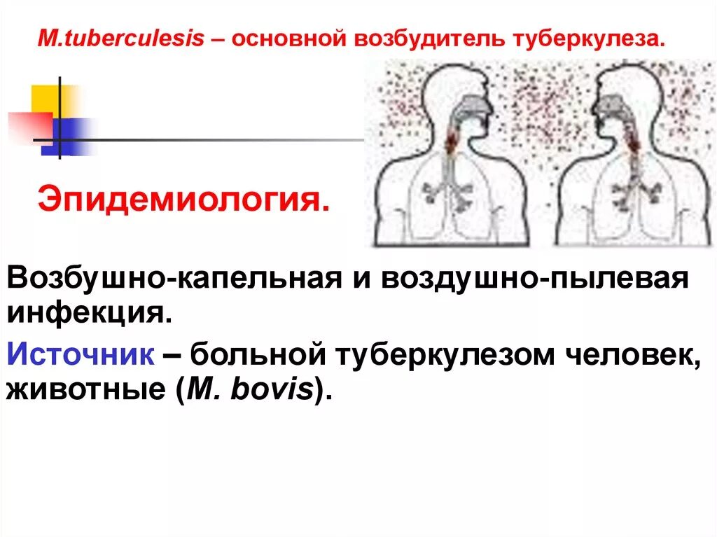 Если съесть собаку не заболеть туберкулезом