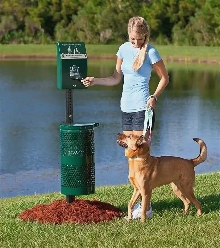 Solutions pet. Pet waste Deterrent. Dog Station. Dog станция под пакеты. A Dog at the Station.