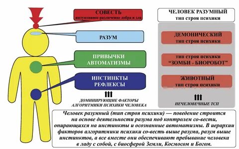 Автоматизмы мышления