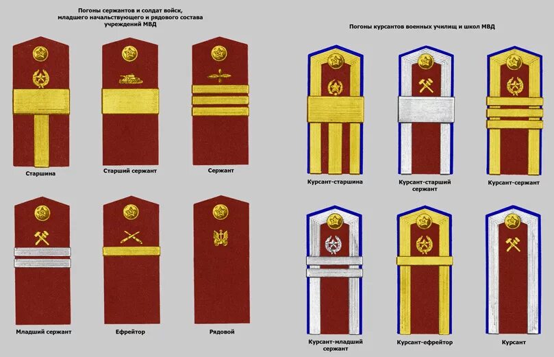 Звания сотрудников росгвардии. Звания сотрудников росгвардии