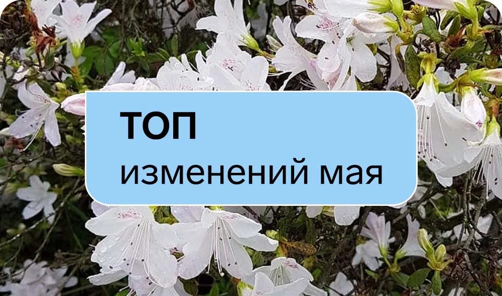 16 мая изменения. Что изменится в мае. Изменения в мае. Май изменения. Всё изменится в мае.