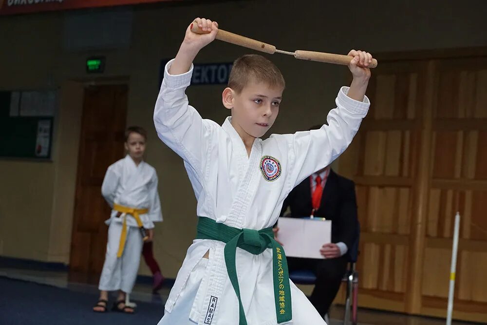 эншин каратэ логотип. карате джитсу. мае тоби гери. карате джитсу. поезд каратэ.