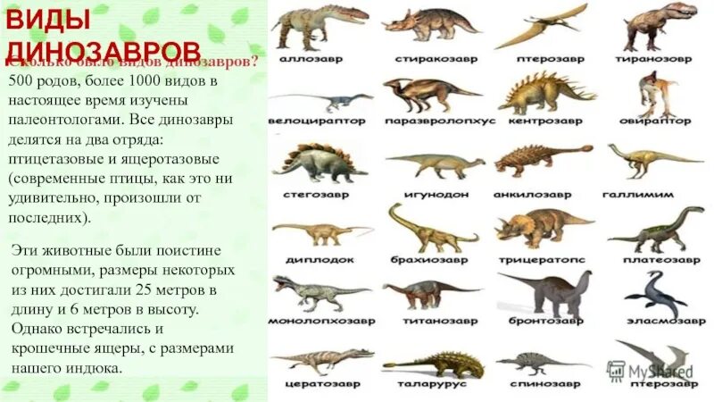 Как назывались маленькие динозавры. Виды динозавров. Динозавры и их названия. Название всех динозавров. Название всех динозавров с картинками.