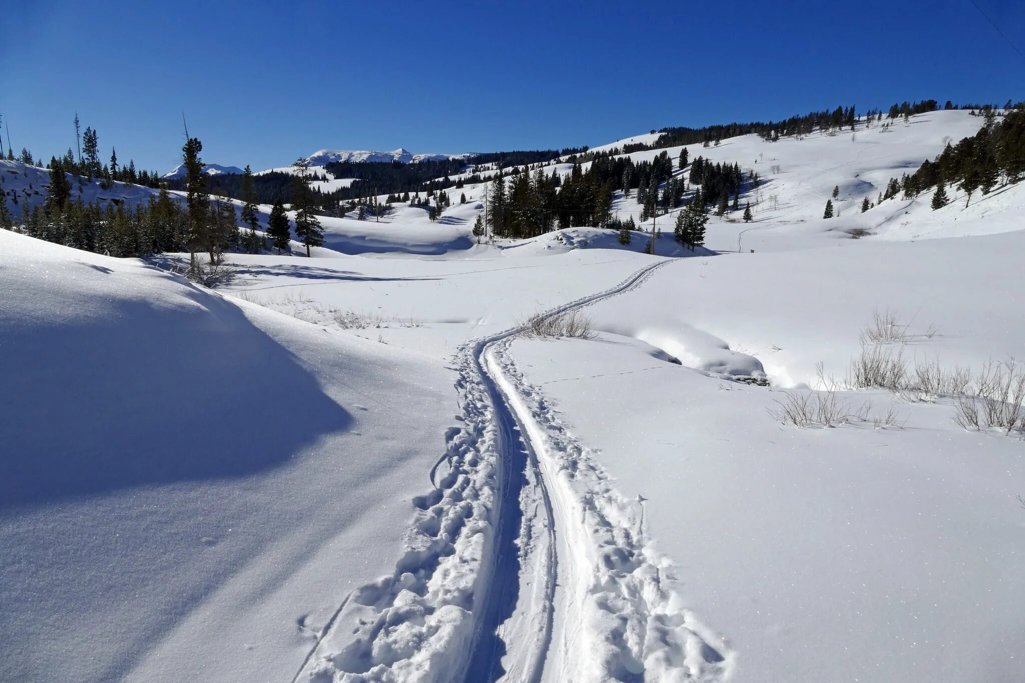 Skiing track. Вайоминг зима трасса. Лыжня в горах. Снежная лыжная трасса. Лыжня в горах зимой.