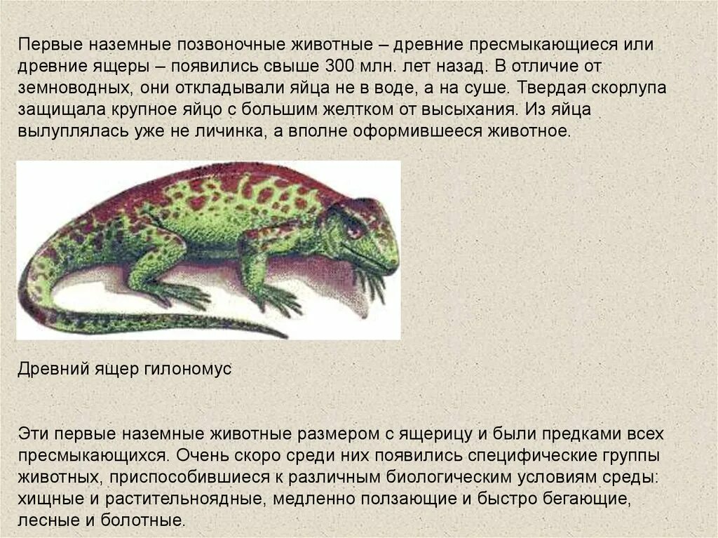 Когда появились первые позвоночные животные. Древние пресмыкающиеся рептилии. Позвоночные животные пресмыкающиеся. Древние позвоночные животные. Наземные позвоночные.