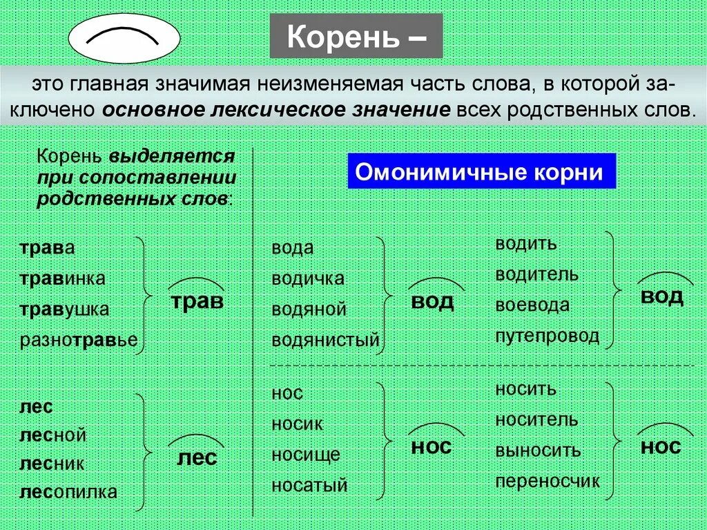 Слово корень обозначает часть речи. Морфемика и словообразование. Основные понятия морфемики и словообразования. Морфемика и словообразовани. Кластер на тему Морфемика и словообразование.