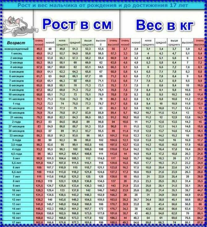 Сколько должны весить при росте 158