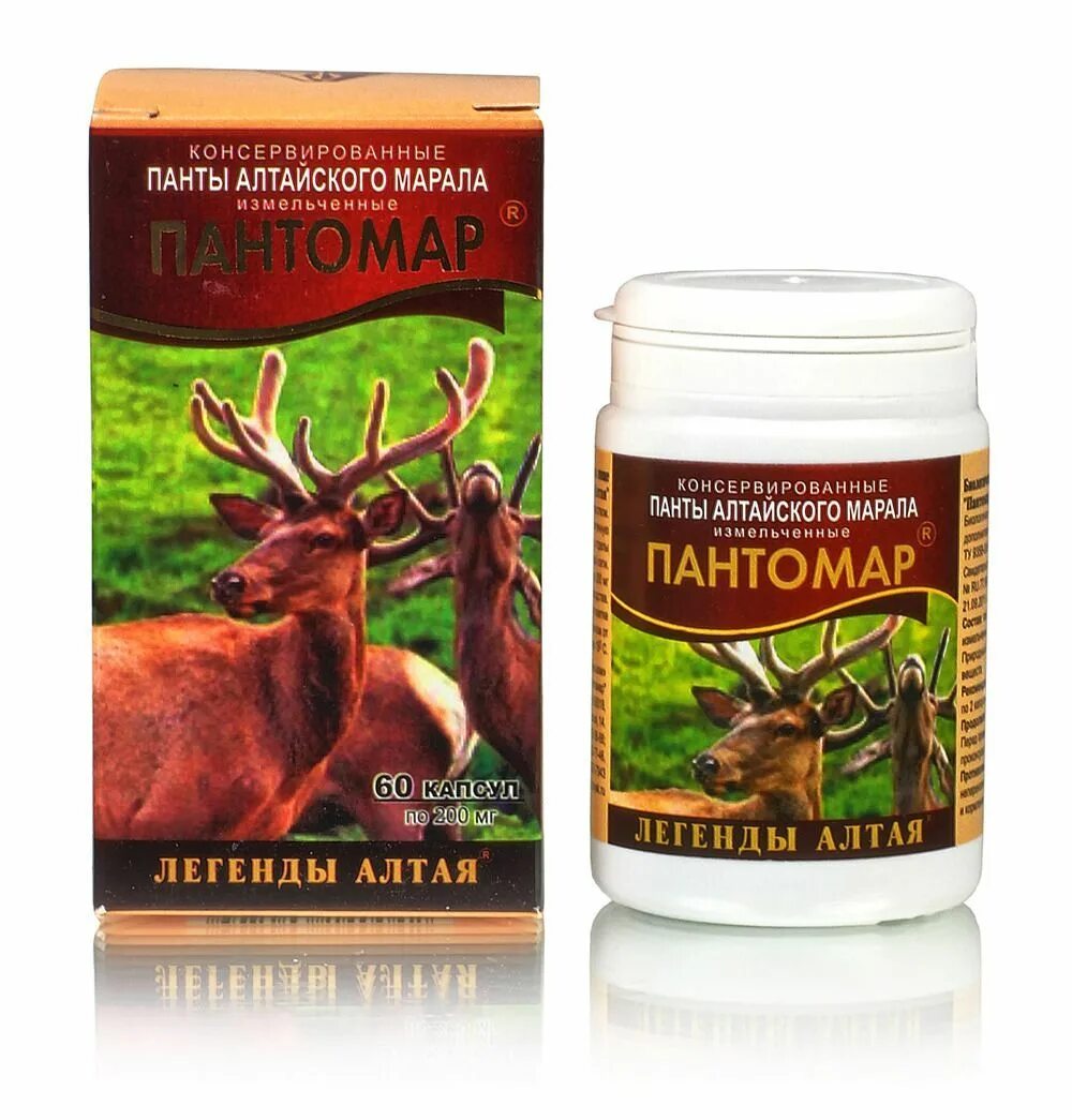 Панты алтайского марала. Пинта алтийского марал. Что такое кровь пантов алтайского марала. Рога оленя панты. Тайга алтая марал.