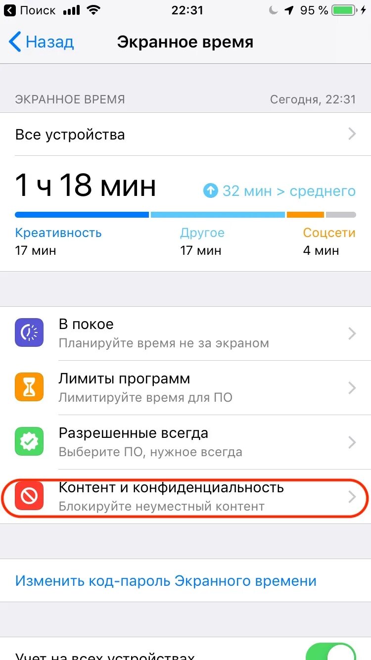 Экранное время на xiaomi. Экранное время. Настройки экранного времени айфон. Что такое поднятия в экранном времени.