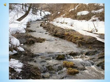 По дороге текут ручьи