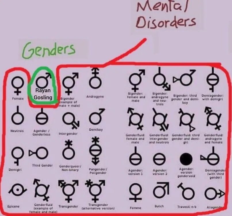 33 пола. Гендер. Таблица гендеров. Гендер бывает. 4 Гендер.