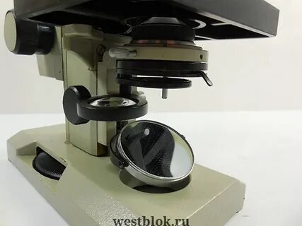 80 крат