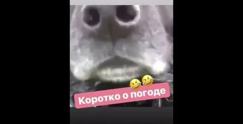 Коротко о погоде